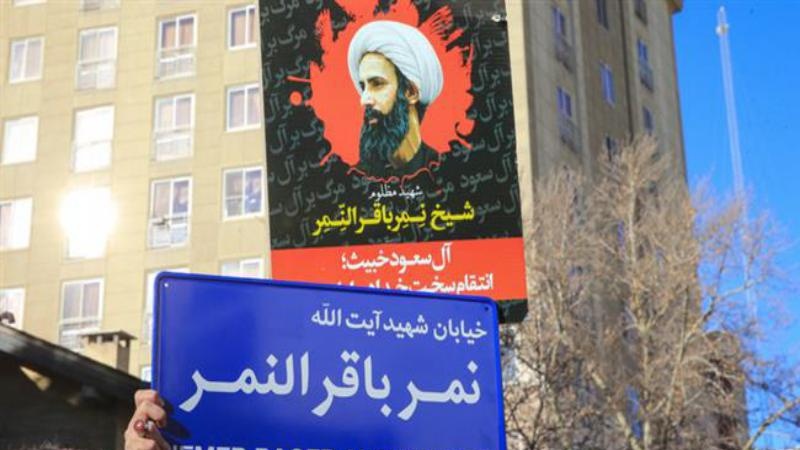 محمد النمر نے سعودی حکومت کے اقدام کو وحشیگری قرار دیا