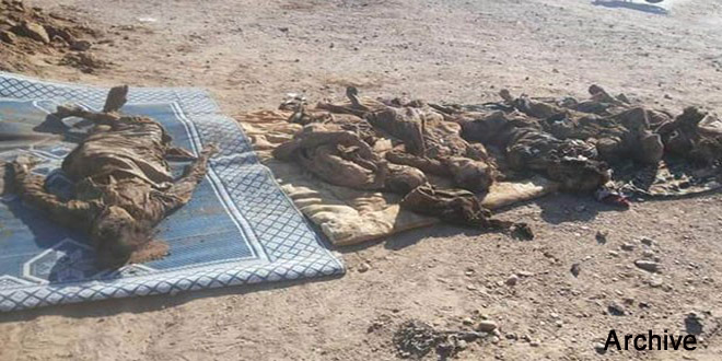 Syria: Mass grave of over 100 people killed by ISIS found in eastern Deir Ezzor