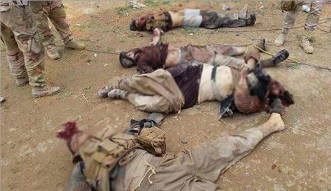 Senior terrorists Commander Killed in Clashes with Syrian Army in Aleppo