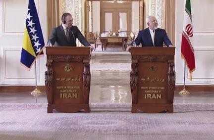 Syria ceasefire should not give advantage to terrorists: Iran's FM