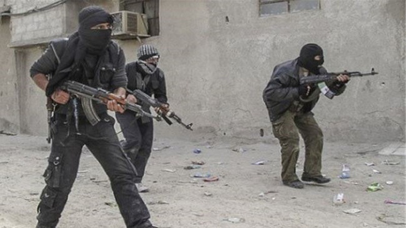 دہشت گروں سے مقابلے کے لئے فلسطینی پناہ گزینوں کا شامی فوج کے ساتھ، تعاون