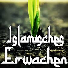 Die drei Ebenen der islamischen Aktivitäten 