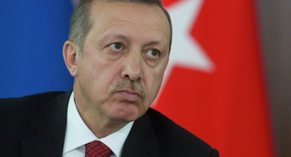 تركيا: اعتقال طفل بزعم التلفظ بألفاظ نابية ضد أردوغان