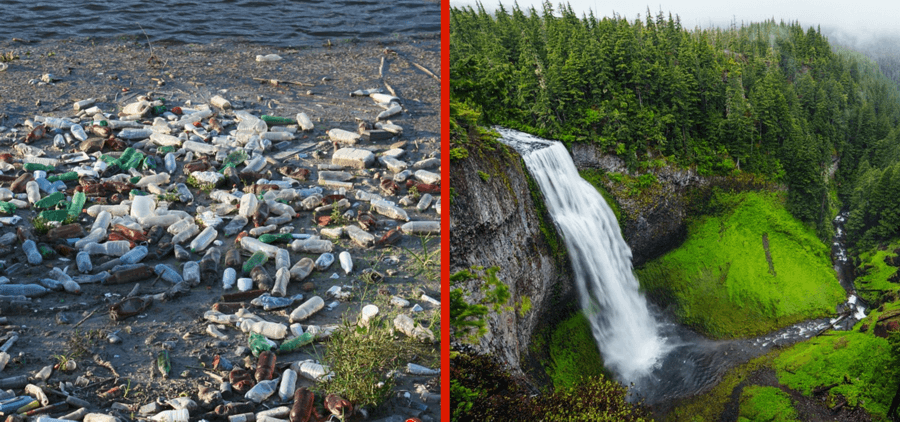 Wasser predigen und Wein trinken: Natur und Muslime 