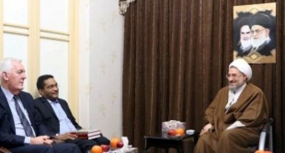 Ayatollah Araki: Islamic unity center of Iran ready to cooperate with Australia