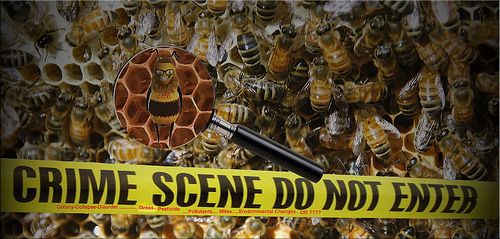 Ecosistemas en Crisis; La Población de Abejas Decrece a Nivel Mundial