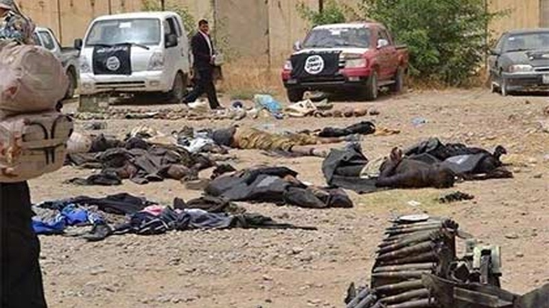 عراق کی فوج نے صوبہ الانبار میں متعدد دہشت گردوں کو ہلاک کر دیا