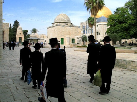 متطرفون يواصلون اقتحام باحات المسجد الأقصى 
