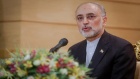 Atomstaaten begrüßen Zusammenarbeit mit Iran 