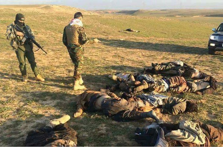 مقتل 35 عنصرا داعشيا بالحويجة وتفكيك 100عبوة ناسفة بالانبار