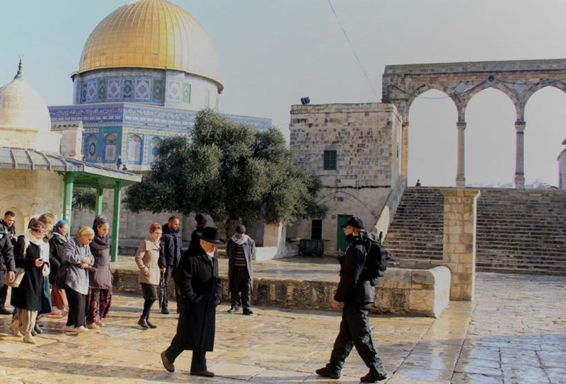 Jewish organizations call for offering “Qorbanot” inside al-Aqsa Mosque