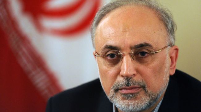 OEAI: “Irán se Convertirá en un Referente en el uso de la Energía Nuclear con Fines Pacíficos” 