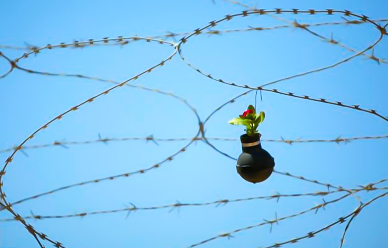 Report: Grenades or Flowerpots? On Palestinian Who Plants Hope near Ramallah 