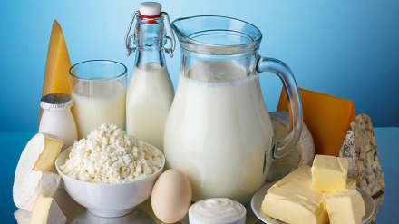 Iran beginnt mit Export von Milchprodukten nach Russland