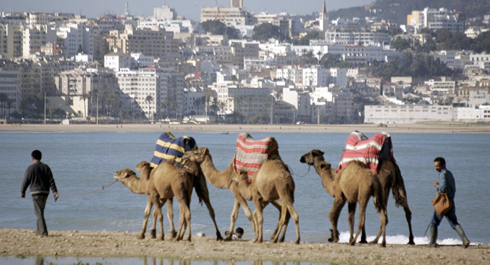 Le Maroc, nid de terroristes?    