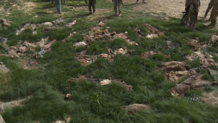 “Amnistía Internacional Exige a Nigeria Investigar Masacre Cometida Contra 350 Shiítas” 