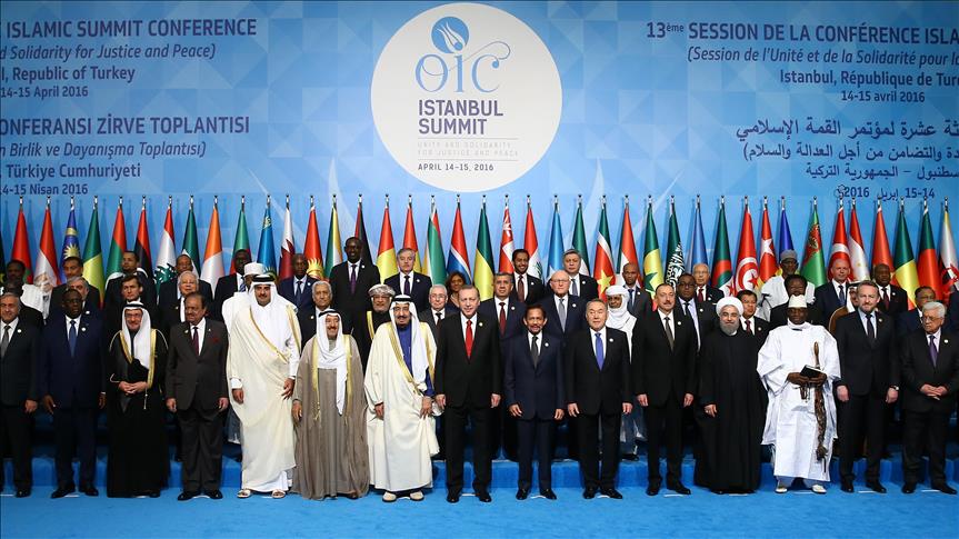 “El Régimen Saudí Fracasa en sus Intrigas contra Irán y Hezbolá Ante la OCI” 