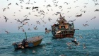 Iran: Chinesen investieren auf Insel Qeschm 