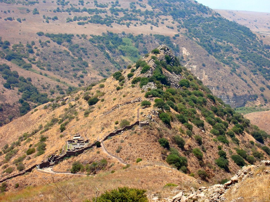 NAM condemns Israeli occupation government's meeting in Golan