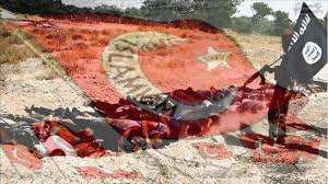 OTSC: ‘Hospitales Turcos Ofrecen Tratamiento Médico a Miembros del Daesh’