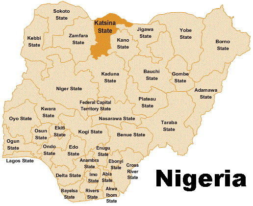 Why Clampdown on Members of Islamic Movement in Katsina? - Ibrahim Musa