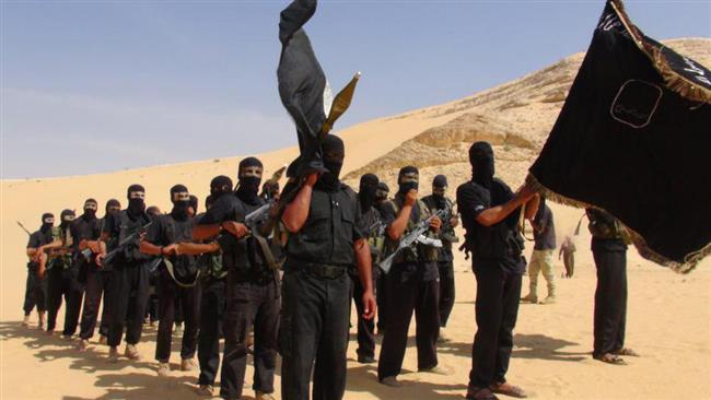 “El Daesh une más que Nunca la Alianza Entre el Régimen de Israel y Egipto” 