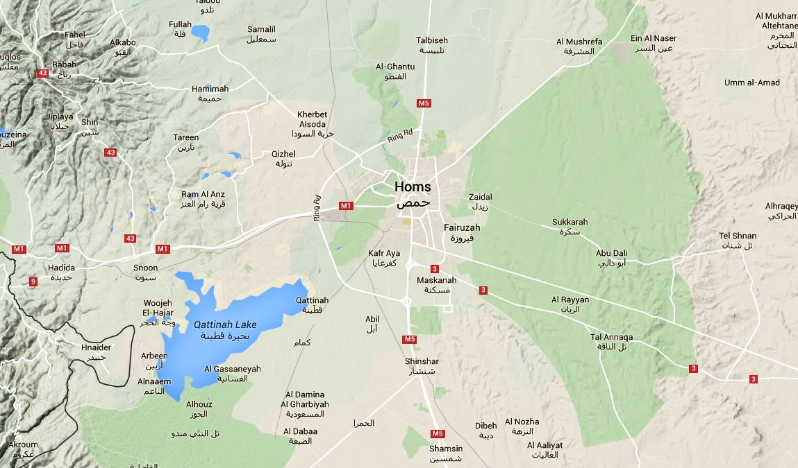 Syrian Army prepare for counter-offensive against ISIS in northeast Homs