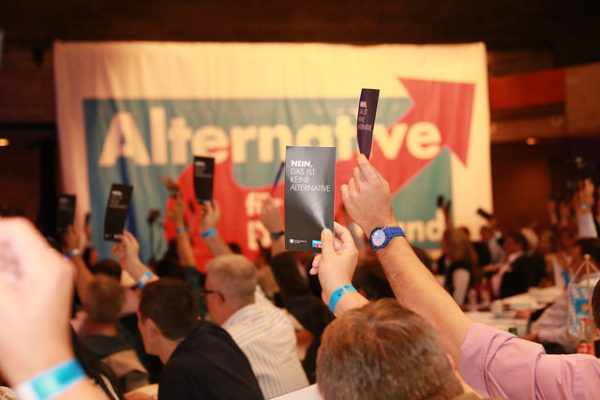 Was fordert die AfD hinsichtlich der Muslime?