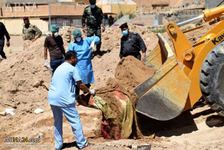 Mehr als 50 Massengrabe im Irak entdeckt