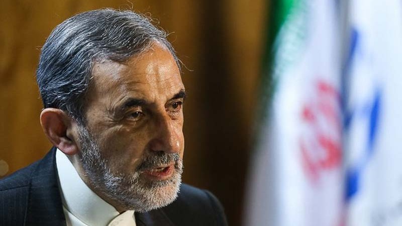 ڈاکٹر ولایتی: ایران اور عربوں کے باہمی تعلقات کے بارے میں سعودی عرب غلط فہمی کا شکار
