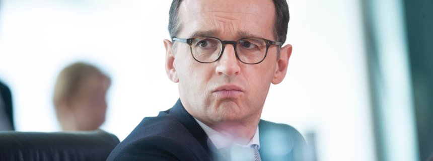 Der Lieblingsfeind der AfD