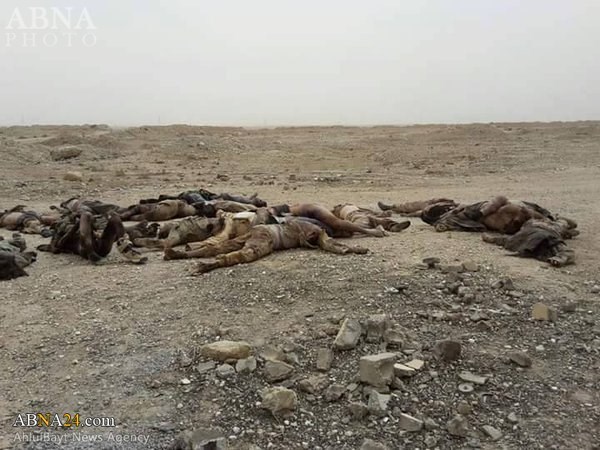 تقرير مصور/ القوات السورية تكبد داعش التكفيري خسائر كبيرة بالارواح في ديرالزور وحمص 
