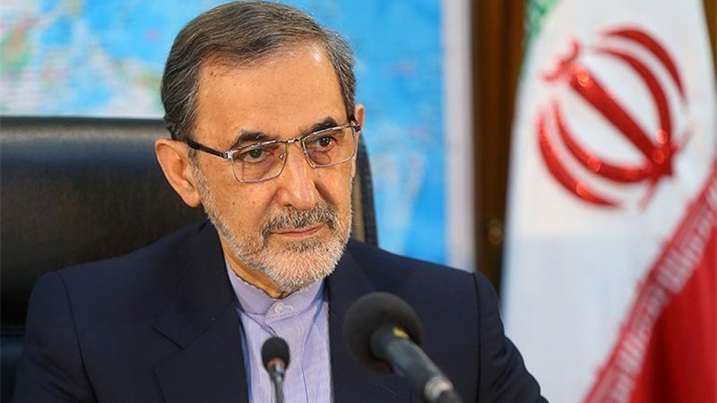  Only Assad Can Defeat Terrorists in Syria: Iran's Velayati 