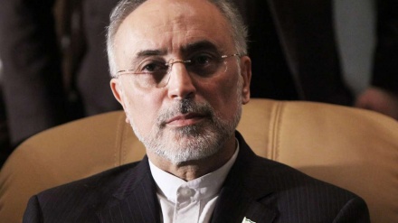 Salehi: Iran liefert den USA in den nächsten Wochen Schwerwasser 