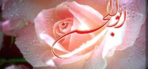 Die 230. Ansprache von Imam Ali (a.s)