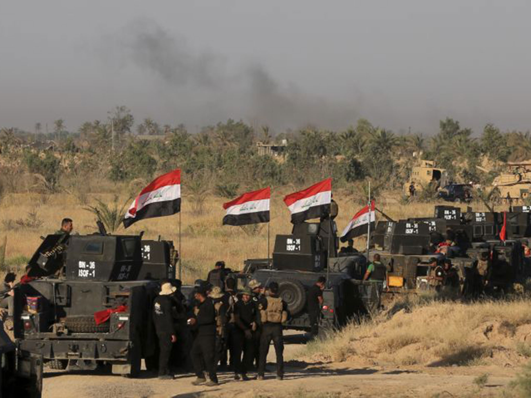 Report: Battle for Fallujah; Far from Easy 
