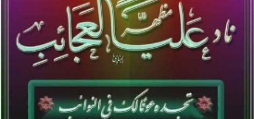 Die Schiqschiqiyya Predigt von Imam Ali (a)