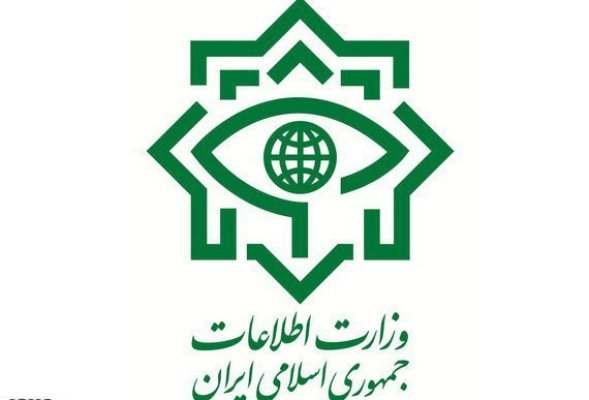 Iran Intelligence official: 20 foreigners arrested seeking to join ISIL