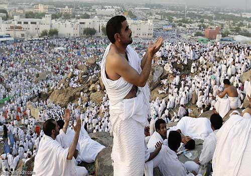 السعوديون عوضوا هزائمهم في الجبهات الاخرى بصدهم عن الحج