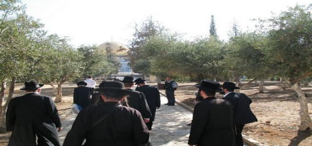 Dozens of Jewish settlers storm Al-Aqsa Mosque