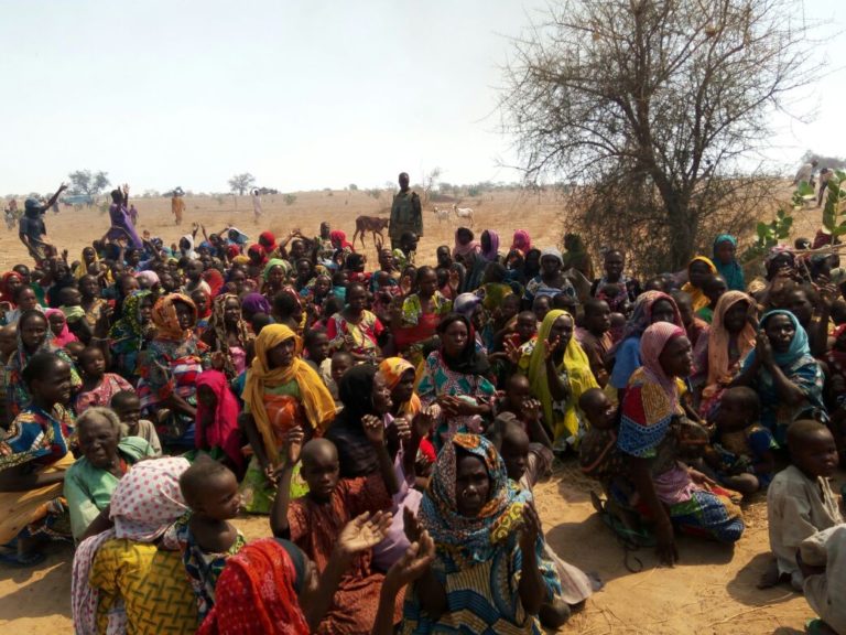Nigerian Forces Free 5,000 Boko Haram Hostages in Borno State