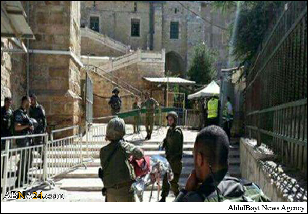 جنود الإحتلال يعدمون "فلسطينيةً حامل" في الخليل  (فيديو 16+)