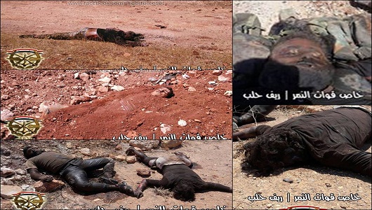 Halep’in Mellah çiftlikler bölgesindeki çatışmalarda öldürülen teröristlerden bazıları/Foto