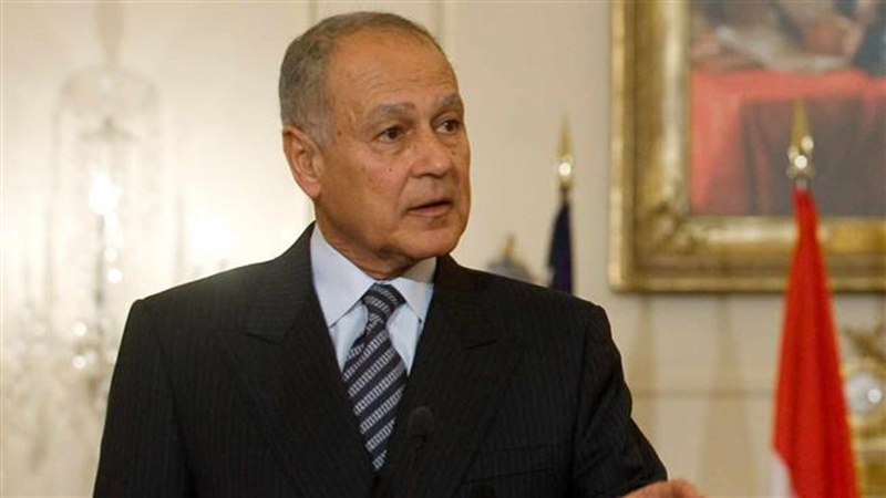 Iran denounces Arab League SG remarks 
