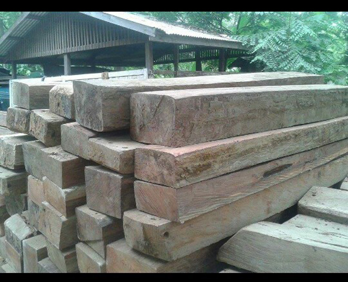 ယင္းမာပင္ၿမိဳ႕နယ္တြင္ ပိုင္ရွင္မ့ဲသစ္တံုး (၁၀၀) ေက်ာ္ ဖမ္းမိ