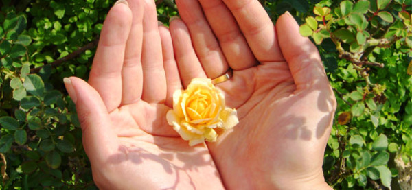 Zakat heißt Solidarität