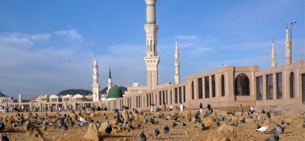 Alle Muslime sind Opfer des Anschlags in Medina