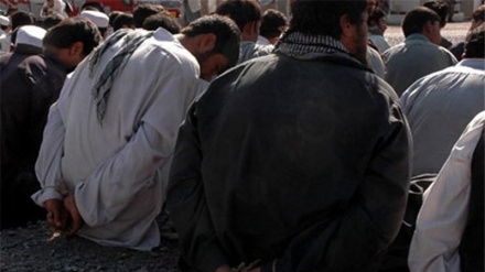12 Hinrichtungsurteile für Terroristen in Pakistan