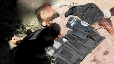 30 IS-Mitglieder im Osten Afghanistans getötet