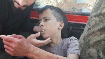 وزیر خارجہ نے شام میں بارہ سالہ فلسطینی بچے کا سر قلم کرنے کی شدید مذمت کی